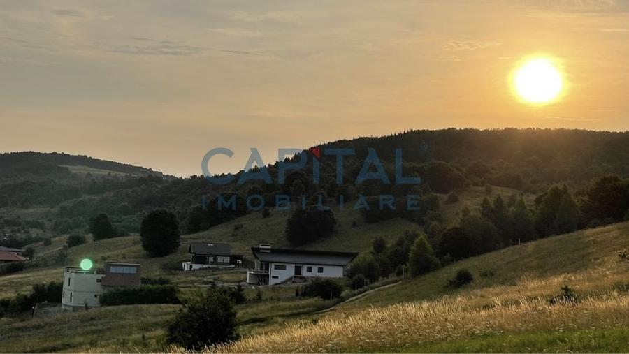 Teren intravilan 1500 mp, Salicea - 4