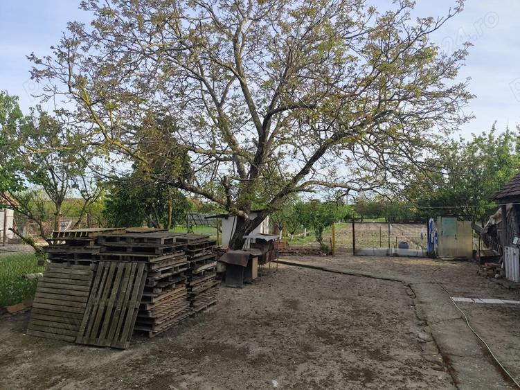 Vand casa cu teren sat Sarbova - 8