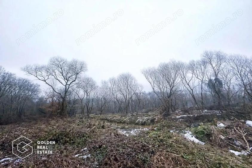 Teren 3.900 mp, Lipova ?oimo? - 3