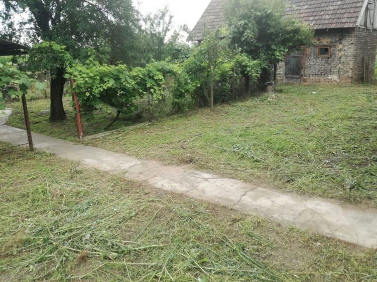 Ag BRASADAS vinde casa LOCUIBILA 3 cam teren 5.000 mp HOREA. - 7