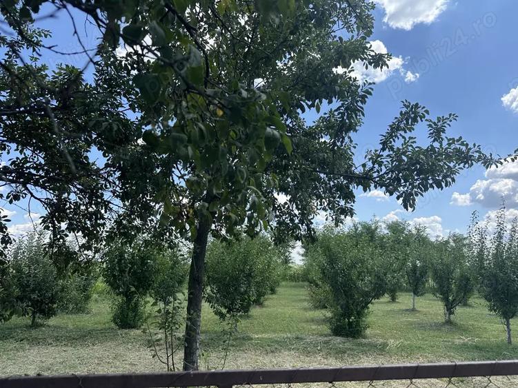 Casa de vanzare in Coste?tii din Vale - 6