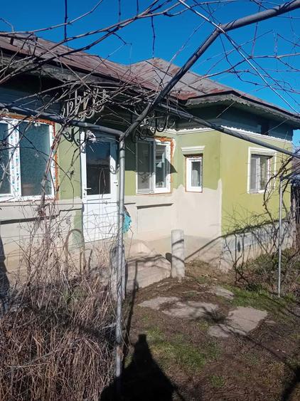 Casa Comuna Bulzesti - 2