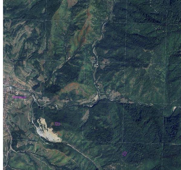 Teren extravilan de 3300 mp, în Pietroasa