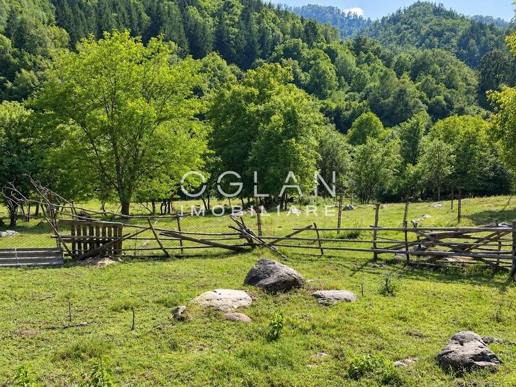Teren agricol de 1036 mp, în Câinenii Mari