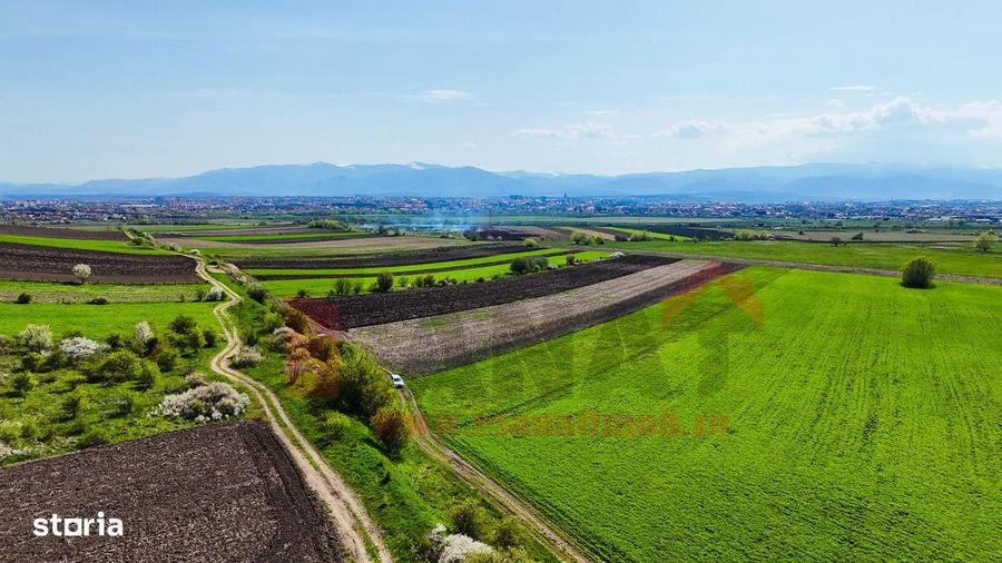 Teren de 3000 mp, în Gușterița