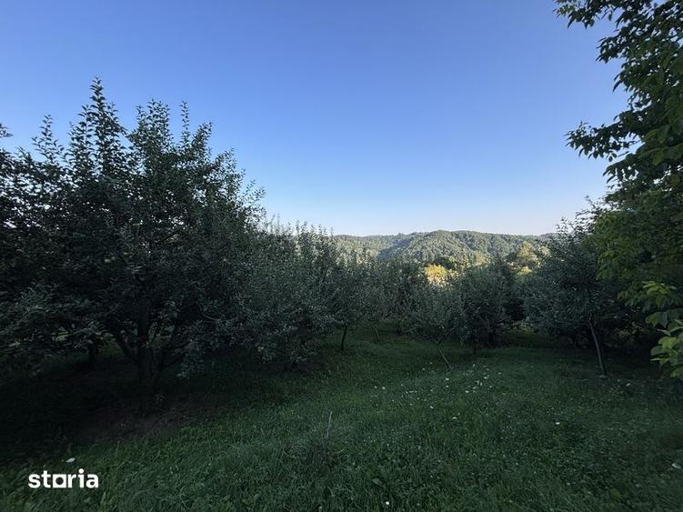 Teren de 5000 mp, în Boteni