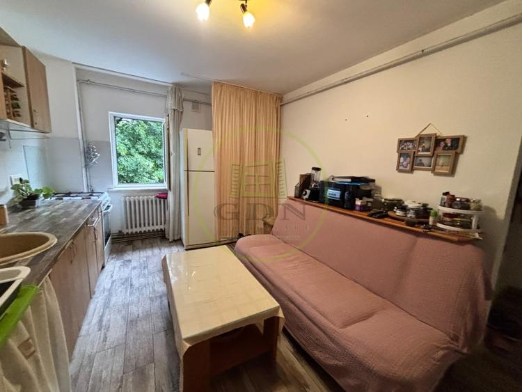 Apartament cu 2 camere semidecomandat, mobilat în Brazda lui Novac