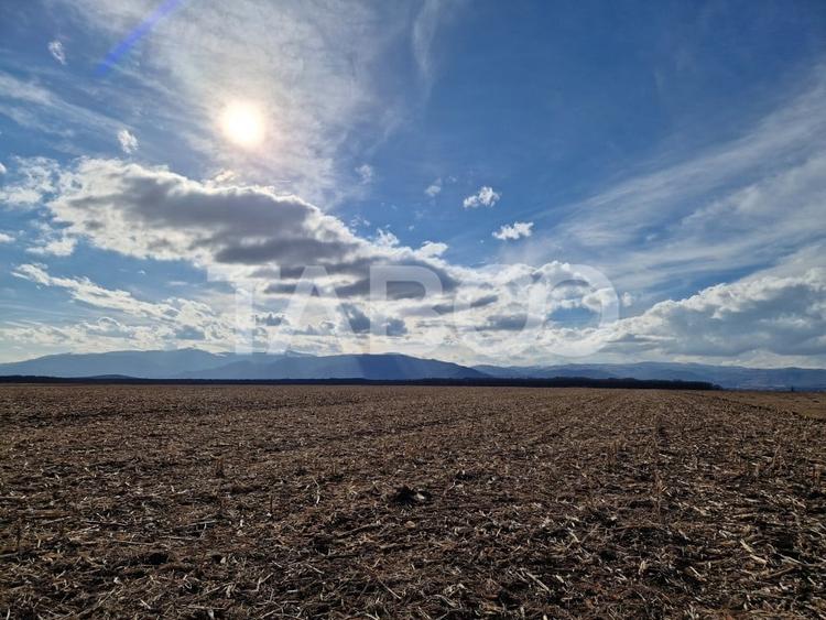 Teren extravilan arabil 5950 mp Selimbar - zona Sopa - 3