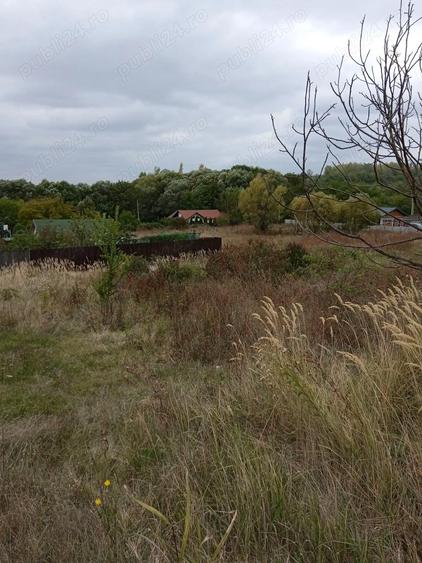 Teren Stefanesti limita cu Calinesti 800 mp, la 200 m de DN - 1