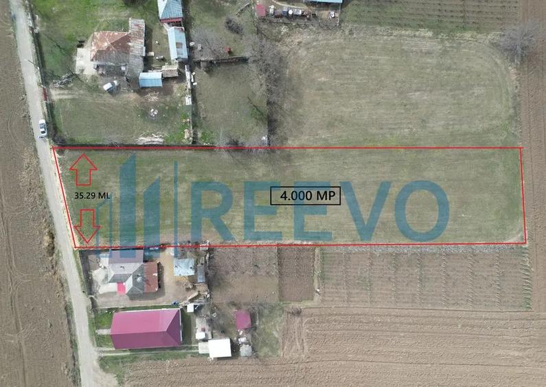 Teren de vanzare, Sat Bazga, Com. Horge?ti, Bacau - 8