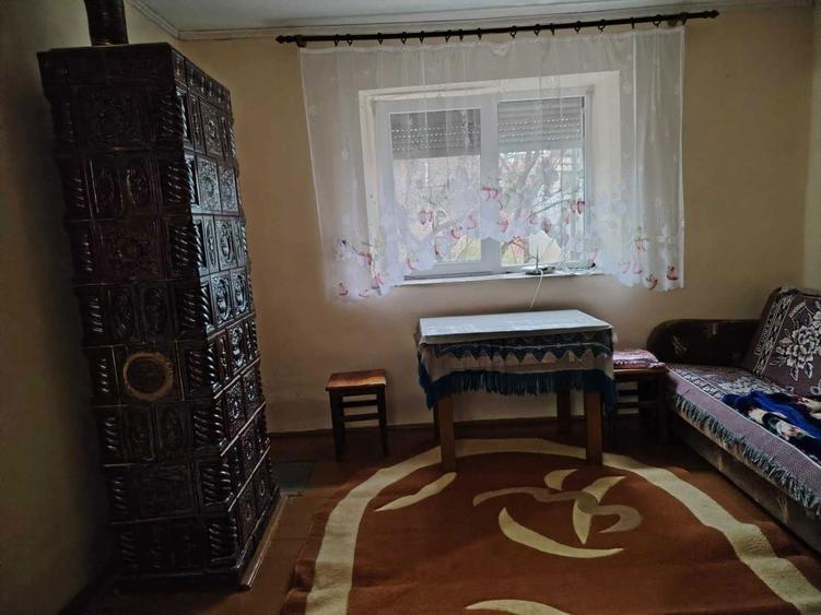 Casa in Diosig cu teren 1400 mp - 6