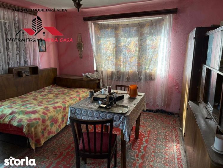 Casa si anexe cu un teren de 7701 mp de vanzare in Stauini Jud Alba - 10