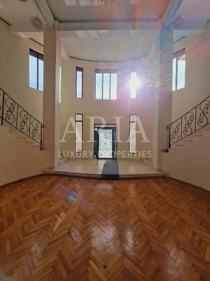 VANZARE VILA | HALA IN VLADICEASCA | SNAGOV | 10.500 MP TEREN - 13