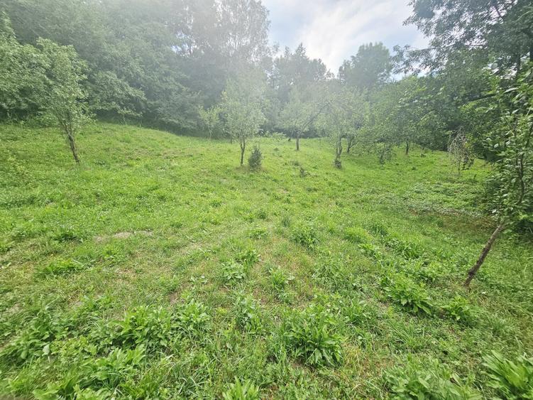 Teren intravilan de vânzare – 2.190 mp – Podu Vadului, Breaza - 4