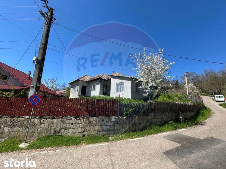 Casa bunicilor de vanzare. - 2