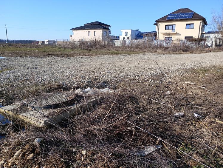 Vand teren 764mp Mogosoaia, zona Livezi, strada Eugen Barbu - 10
