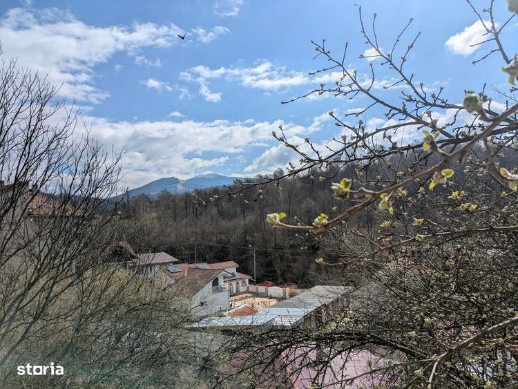 Vila de exceptie in inima Petrosaniului | Casa cu priveliste Parang - 7