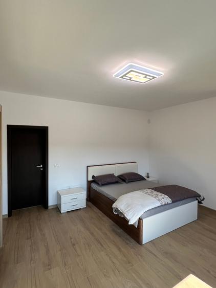 Dumbravita - Central - Casa de inchirat - pretabil rezidential sau birouri - 8