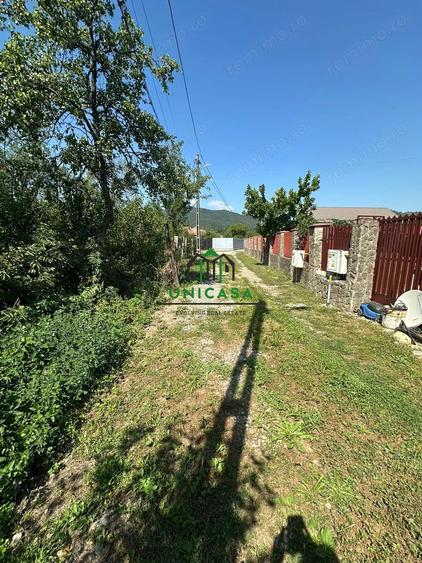 Teren - Jiblea Vechea - 1