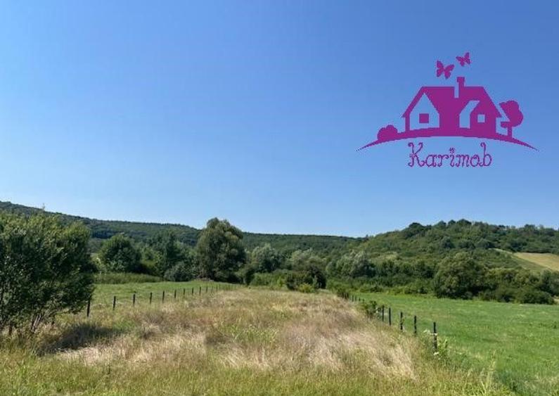 Teren intravilan Hidiselul de Sus - 3