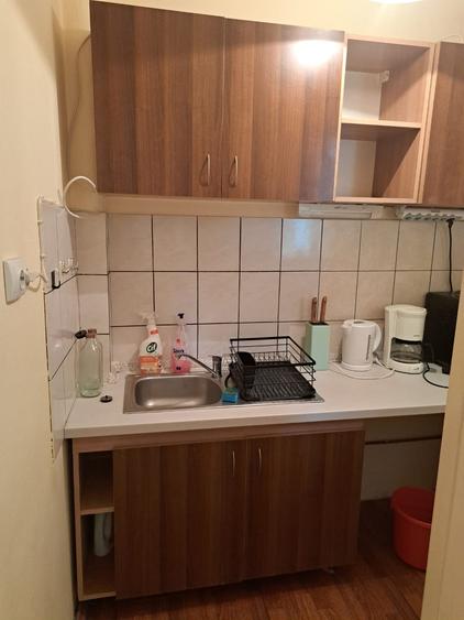 Garsonieră de închiriat – B-dul Take Ionescu – Etaj 1/10, mobilată și utilată - 8