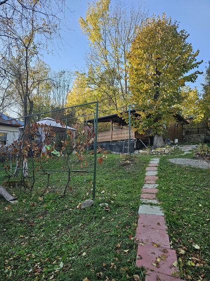 Casa de vanzare Provita de Jos - 2