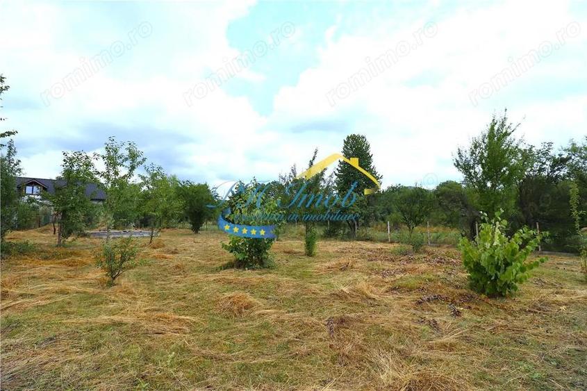 Teren Intravilan de vanzare, Campina - 5