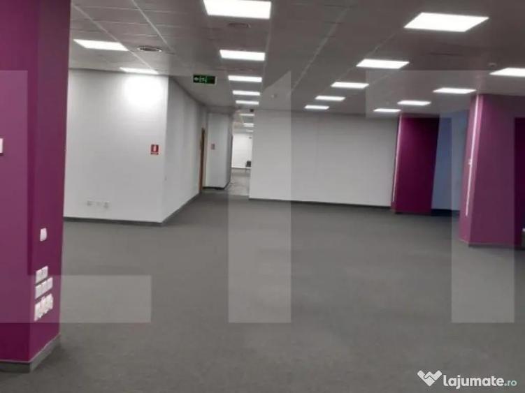 Birouri clasa A, ultracentral, 873mp, zona Tribunal - 4