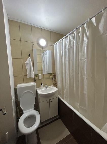 Apartamnet de inchiriat 2 camere Drumul Taberei - 6