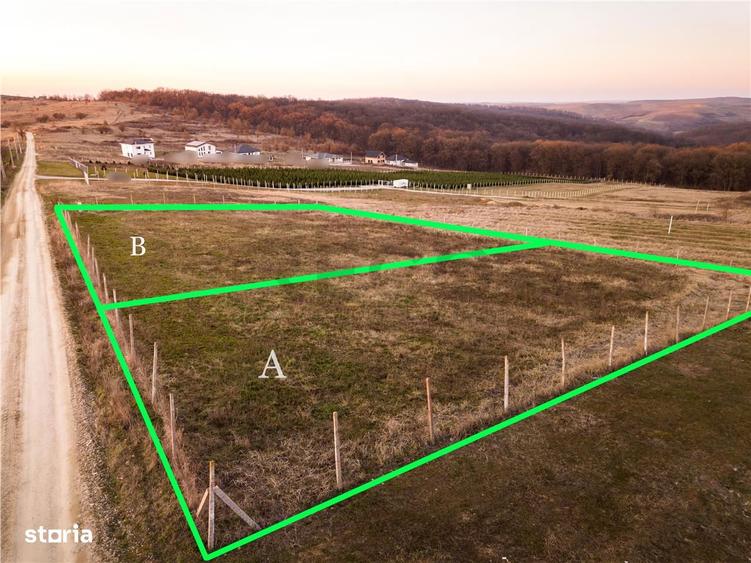 RECO Teren intravilan in Saldabagiu de Munte - 9