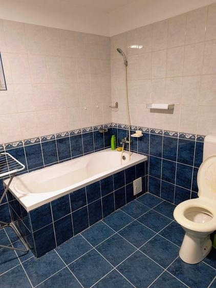 Inchiriez casa,zona Zetari,600 euro/luna - 13