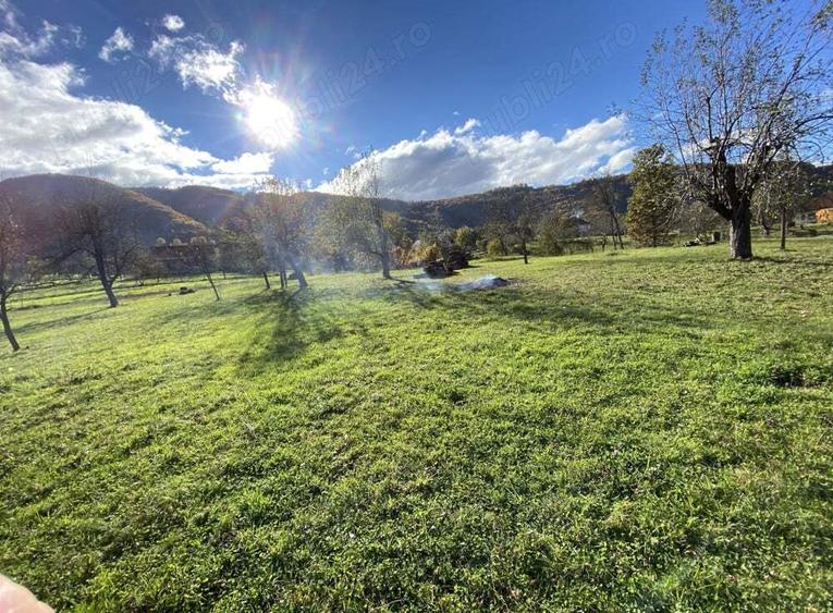 Vand casa si teren 10000mp - 5