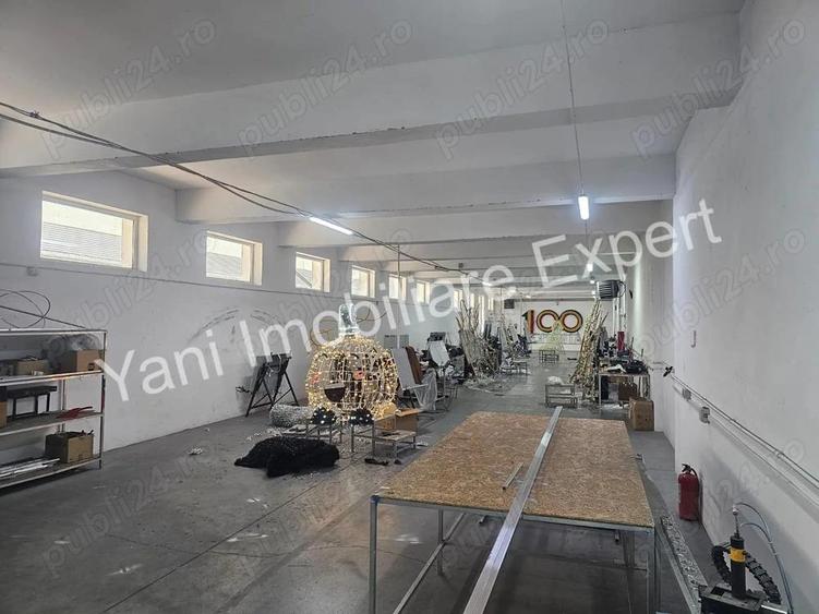 Proprietate cu multiple hale, de vanzare in comuna Baicule?ti, jude? Arge?. - 3