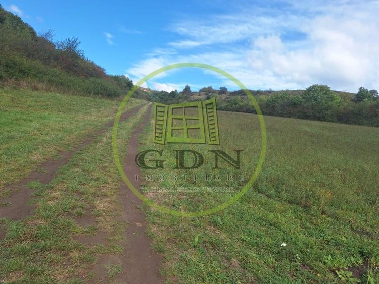 Teren extravilan 700mp in Gusterita. - 1