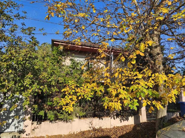 Casa P+1 Petrachioaia - 8