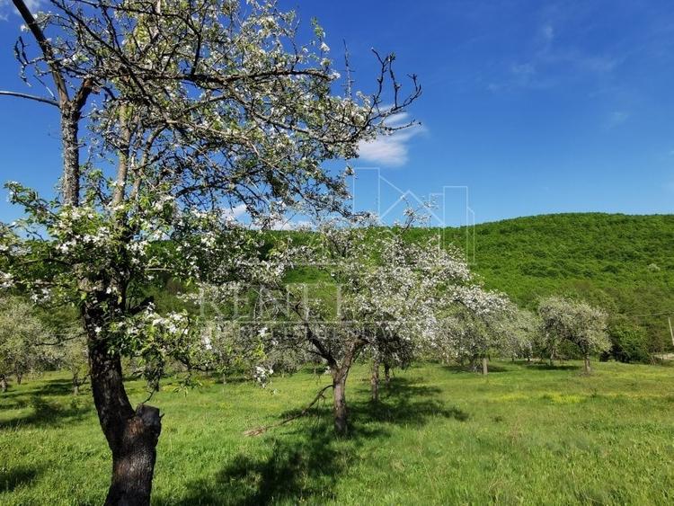 Teren de Vânzare, Budeasa Mica – Potrivit pentru Casă de Vacanță sau Investiție - 1