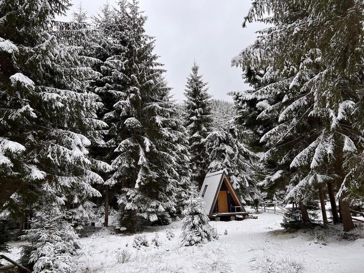 Teren de vânzare cu căsuță A-frame - 2