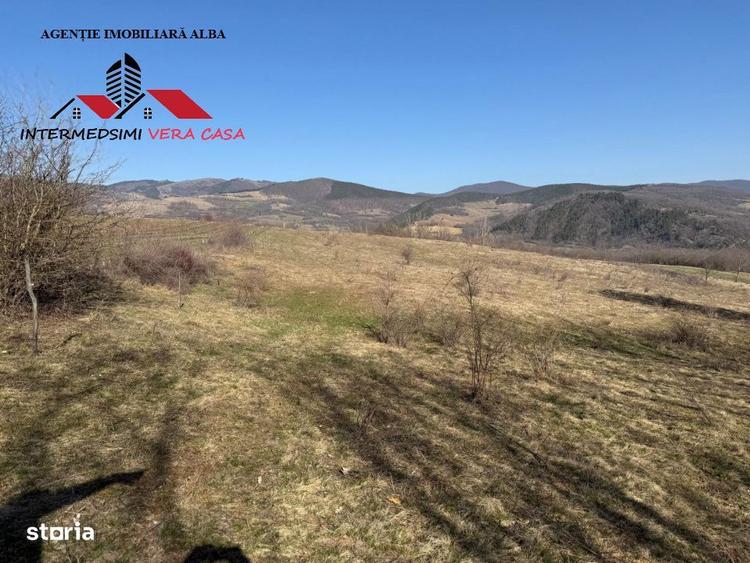 Teren extravilan 28900 mp de vanzare in Stauini Jud Alba - 5