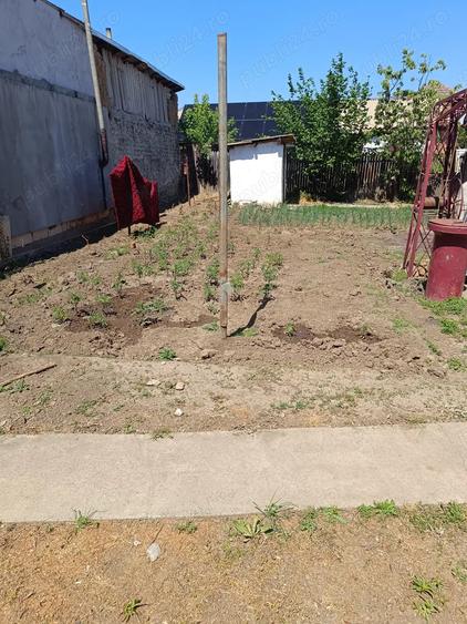 Vand Casa in ora?ul Corabia - 4