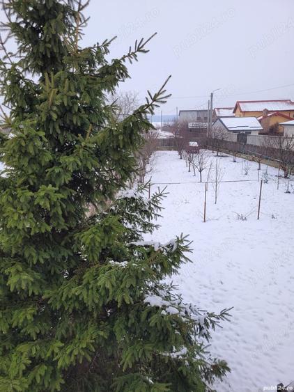 2 Case in oglinda - 7