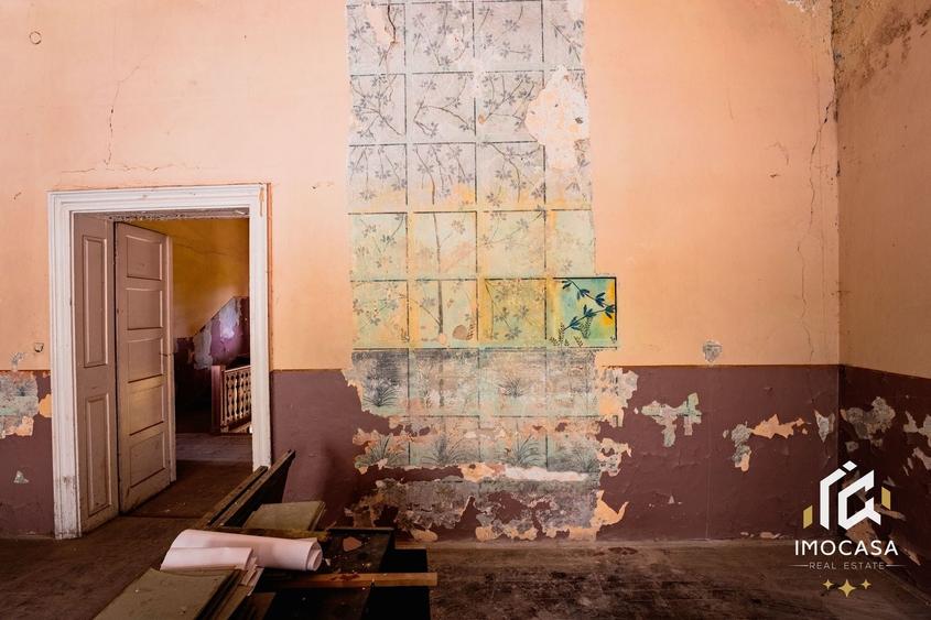 Vila Conac boieresc contelui Fabia 1920 de vânzare Păuliș Arad 2,4 ha - 9