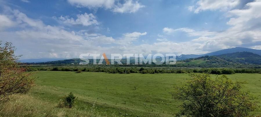 Teren Intravilan Tarlugeni - 4