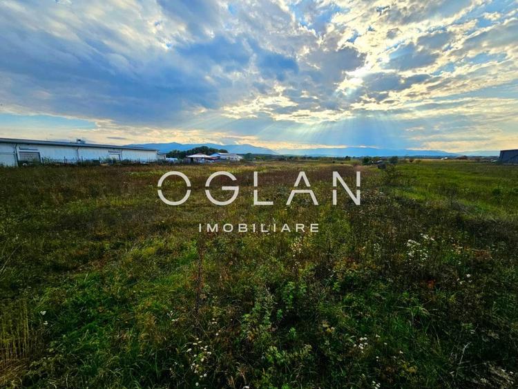 Teren Selimbar-DN1, comercial/industrial, COMISION 0% - 15