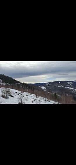 Vand Teren la muntele rece - 6