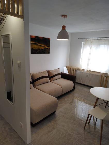 Apartament cu 1 camera aproape de Agronomie - Calea Aradului - 3