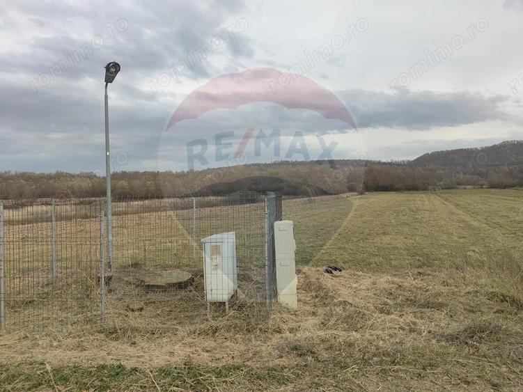 Teren lacul Surduc - Fardea - 5