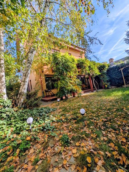 Jiului-Coralilor-Damaroaia,eleganta,robusta,garaj,curte intima,vegetatie matura - 6