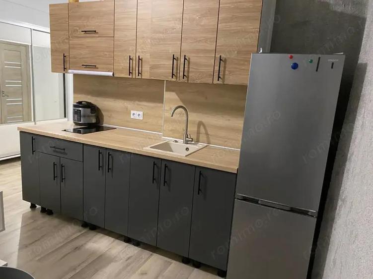 De vanzare apartament cu o camera in zona Buziasului - 2