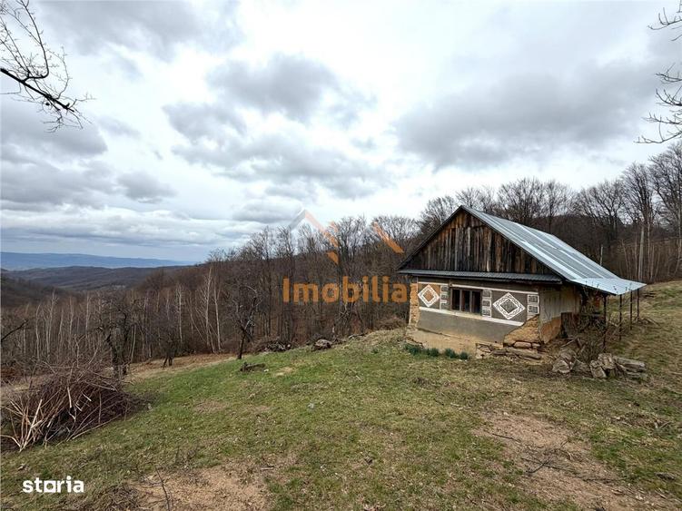 Teren 34.000 Mp | Serani Bihor - 7