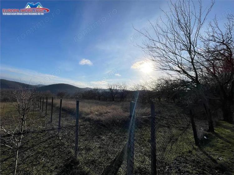 Teren intravilan de vanzare in localitatea Telita-jud.Tulcea - 6